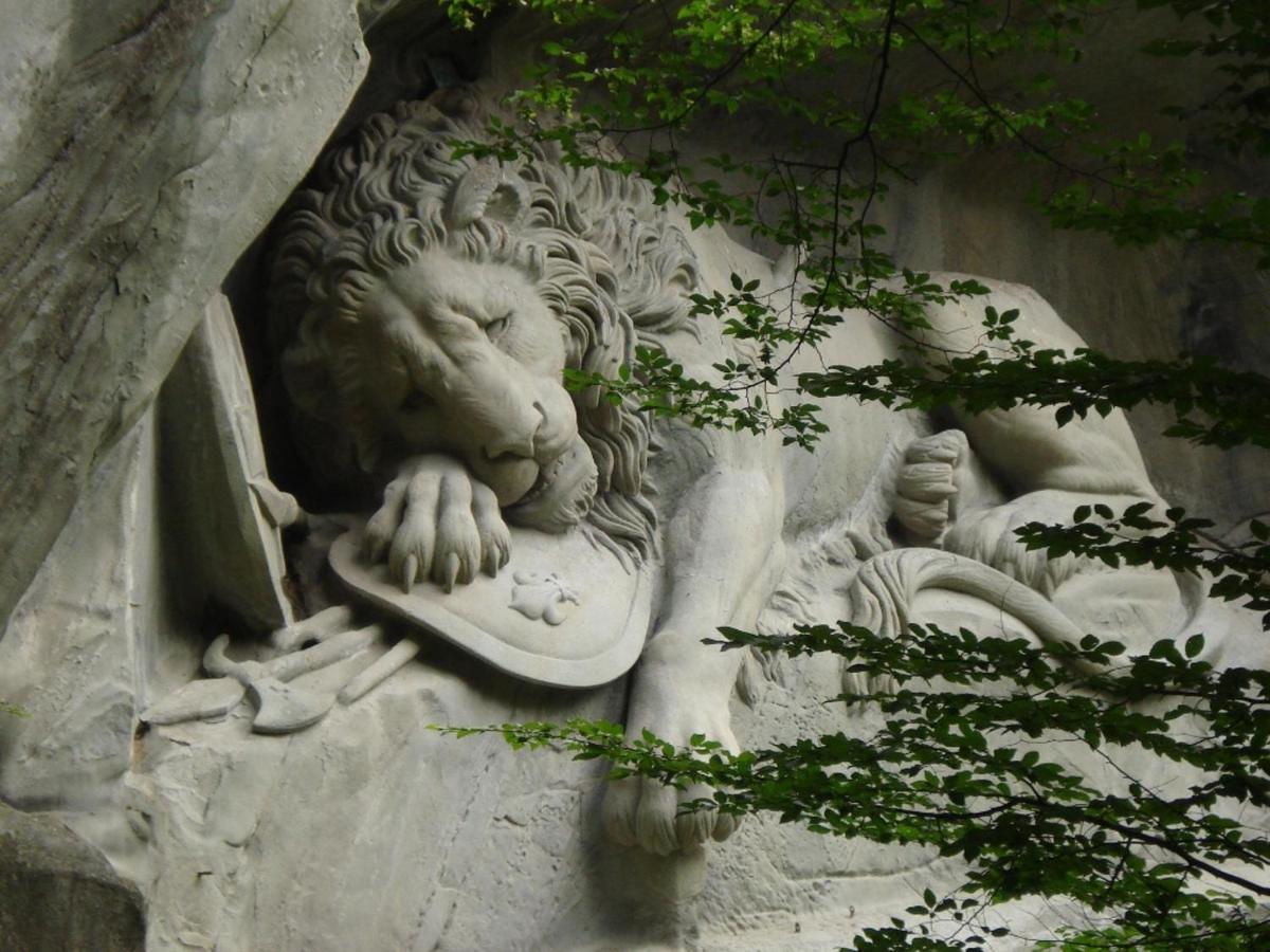 Hostel Lion Lodge Luzern Экстерьер фото